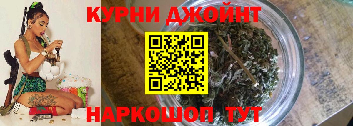 Бошки Шишки семена  Канабис ГИДРОПОН  Вход с VPN  Каннабис THC 21%  Бошки Шишки марихуана  Кувандык 